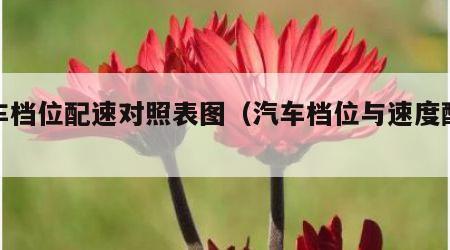 汽车档位配速对照表图（汽车档位与速度配合）