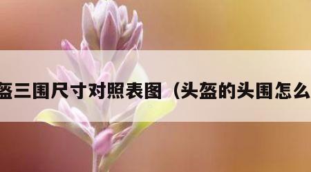 头盔三围尺寸对照表图（头盔的头围怎么算）