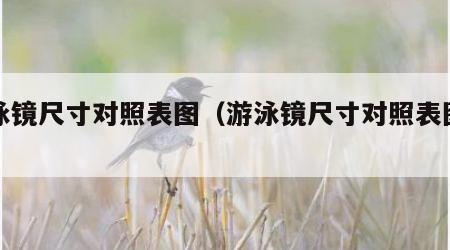 游泳镜尺寸对照表图（游泳镜尺寸对照表图片）