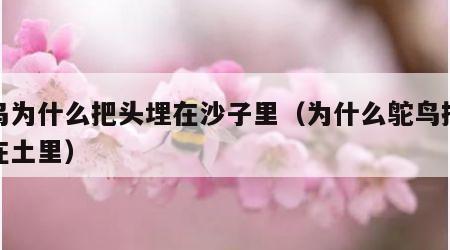 鸵鸟为什么把头埋在沙子里（为什么鸵鸟把头埋在土里）
