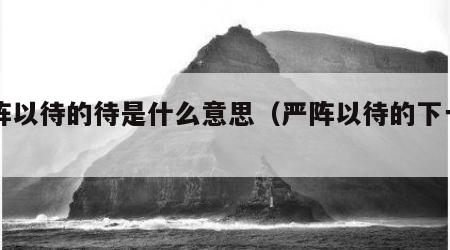 严阵以待的待是什么意思（严阵以待的下一句）