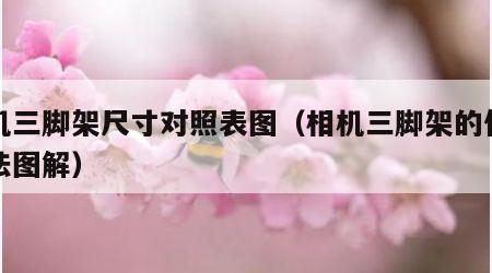 相机三脚架尺寸对照表图（相机三脚架的使用方法图解）