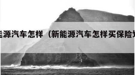 新能源汽车怎样（新能源汽车怎样买保险划算）