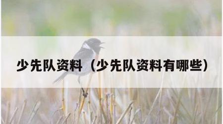 少先队资料（少先队资料有哪些）