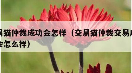 交易猫仲裁成功会怎样（交易猫仲裁交易成功后会怎么样）