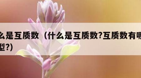 什么是互质数（什么是互质数?互质数有哪些类型?）