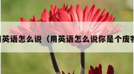 用英语怎么说（用英语怎么说你是个废物）