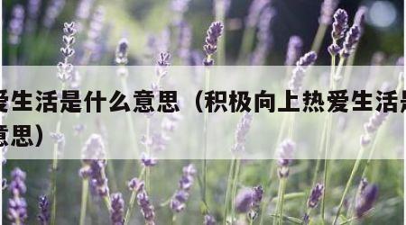 热爱生活是什么意思（积极向上热爱生活是什么意思）