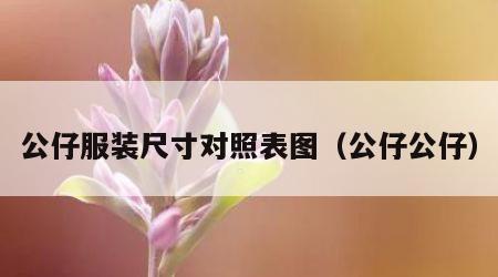 公仔服装尺寸对照表图（公仔公仔）