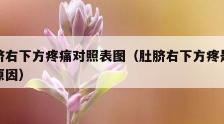 肚脐右下方疼痛对照表图（肚脐右下方疼是什么原因）