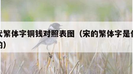 宋代繁体字铜钱对照表图（宋的繁体字是什么样的）