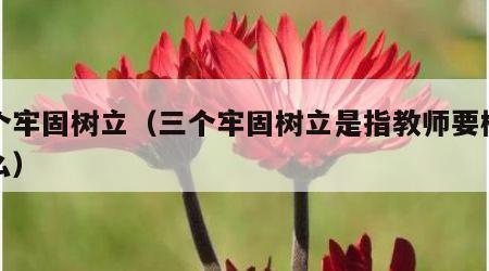 三个牢固树立（三个牢固树立是指教师要树立什么）