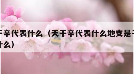 天干辛代表什么（天干辛代表什么地支是子代表什么）