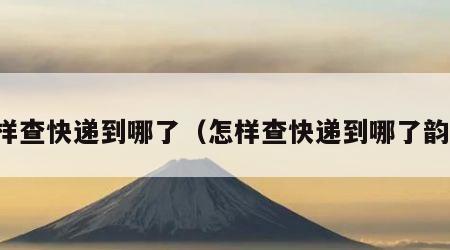 怎样查快递到哪了（怎样查快递到哪了韵达）