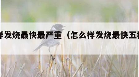 怎样发烧最快最严重（怎么样发烧最快五秒内）
