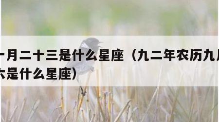 十一月二十三是什么星座（九二年农历九月二十六是什么星座）