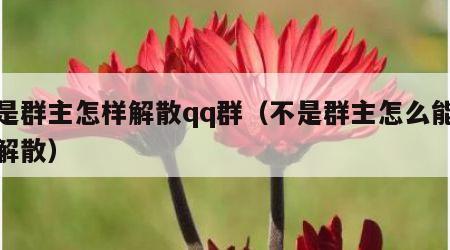 不是群主怎样解散qq群（不是群主怎么能把群解散）