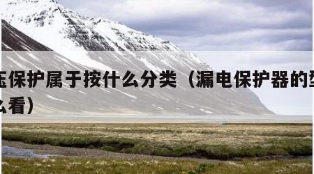 电压保护属于按什么分类（漏电保护器的型号怎么看）
