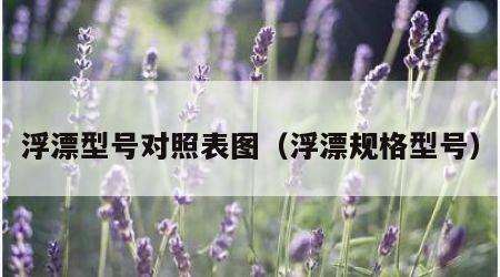 浮漂型号对照表图（浮漂规格型号）