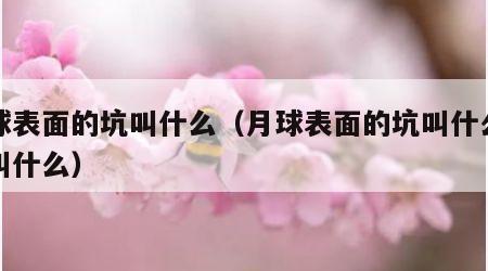 月球表面的坑叫什么（月球表面的坑叫什么后来叫什么）