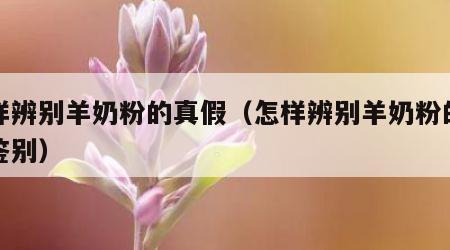 怎样辨别羊奶粉的真假（怎样辨别羊奶粉的真假鉴别）