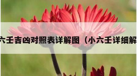 小六壬吉凶对照表详解图（小六壬详细解释）