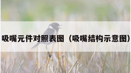 吸嘴元件对照表图（吸嘴结构示意图）