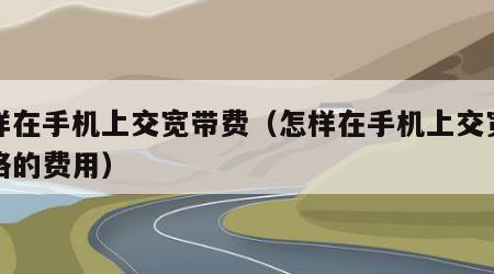 怎样在手机上交宽带费（怎样在手机上交宽带网络的费用）