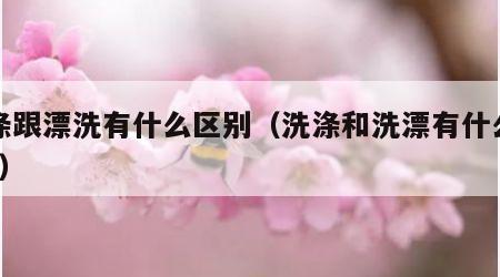 洗涤跟漂洗有什么区别（洗涤和洗漂有什么区别?）