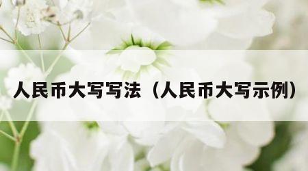人民币大写写法（人民币大写示例）