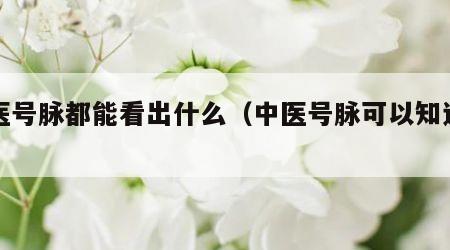 中医号脉都能看出什么（中医号脉可以知道什么）