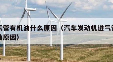 进气管有机油什么原因（汽车发动机进气管有机油原因）