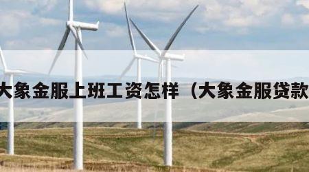 大象金服上班工资怎样（大象金服贷款）