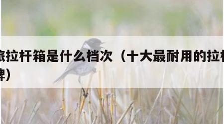 美旅拉杆箱是什么档次（十大最耐用的拉杆箱品牌）