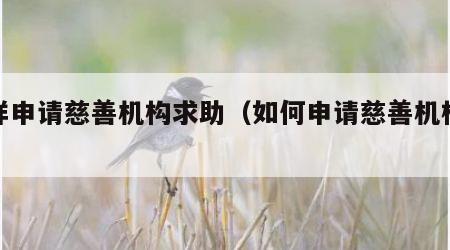怎样申请慈善机构求助（如何申请慈善机构救助）
