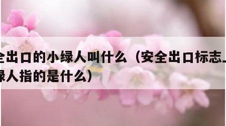 安全出口的小绿人叫什么（安全出口标志上的小绿人指的是什么）