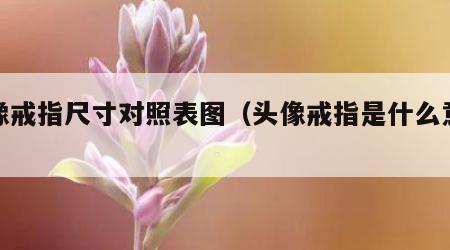 头像戒指尺寸对照表图（头像戒指是什么意思）