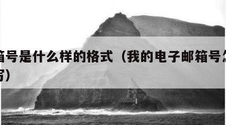 邮箱号是什么样的格式（我的电子邮箱号怎么填写）