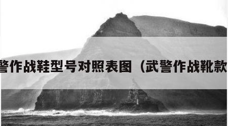 武警作战鞋型号对照表图（武警作战靴款式）