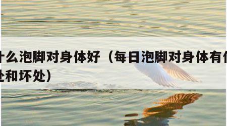 用什么泡脚对身体好（每日泡脚对身体有什么好处和坏处）