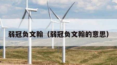 弱冠负文翰（弱冠负文翰的意思）