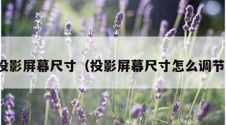 投影屏幕尺寸（投影屏幕尺寸怎么调节）