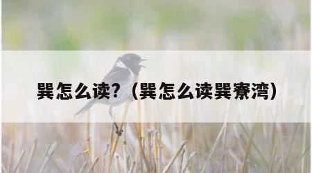 巽怎么读?（巽怎么读巽寮湾）
