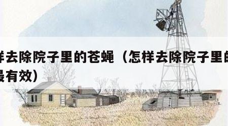 怎样去除院子里的苍蝇（怎样去除院子里的苍蝇最有效）