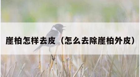 崖柏怎样去皮（怎么去除崖柏外皮）