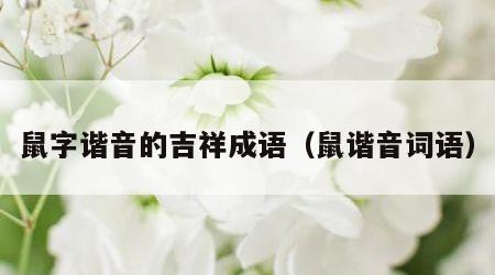 鼠字谐音的吉祥成语（鼠谐音词语）