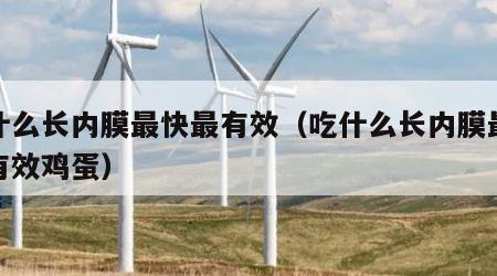 吃什么长内膜最快最有效（吃什么长内膜最快最有效鸡蛋）