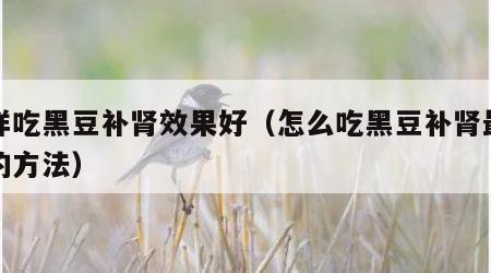 怎样吃黑豆补肾效果好（怎么吃黑豆补肾最简单的方法）