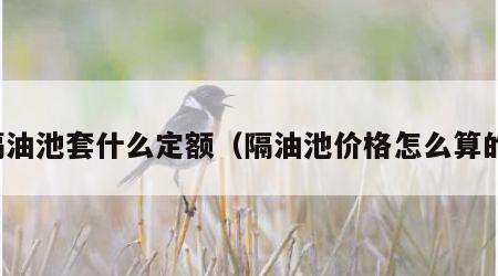 隔油池套什么定额（隔油池价格怎么算的）