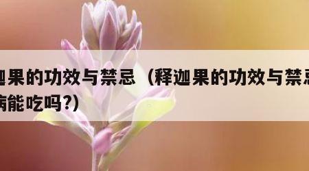 释迦果的功效与禁忌（释迦果的功效与禁忌糖尿病能吃吗?）